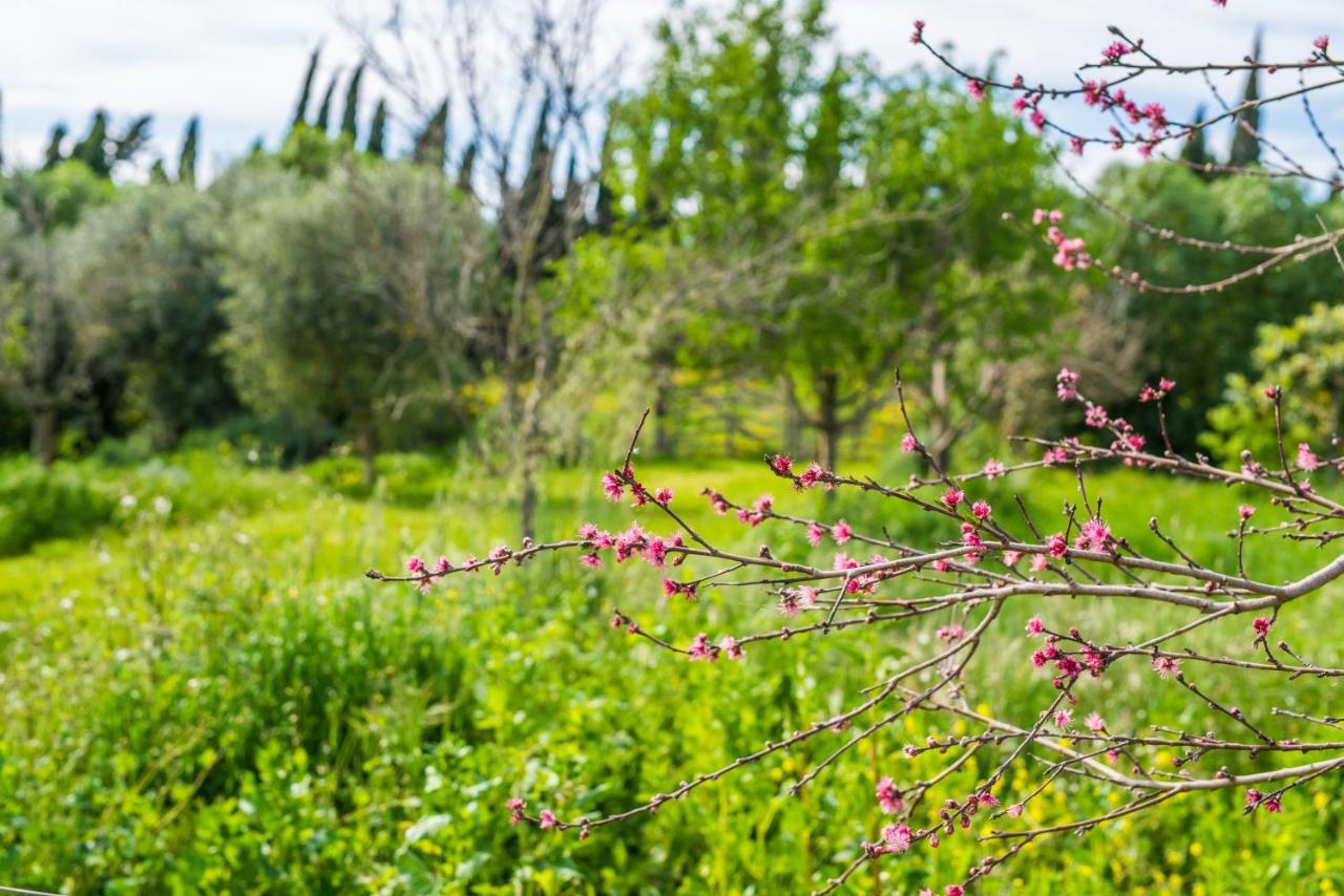 Willa Traumhafte Finca Son Senyor - Mit Pferdekoppel Sa Pobla Zewnętrze zdjęcie